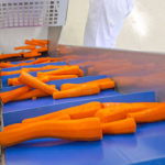 Légume Pro : récolte carottes