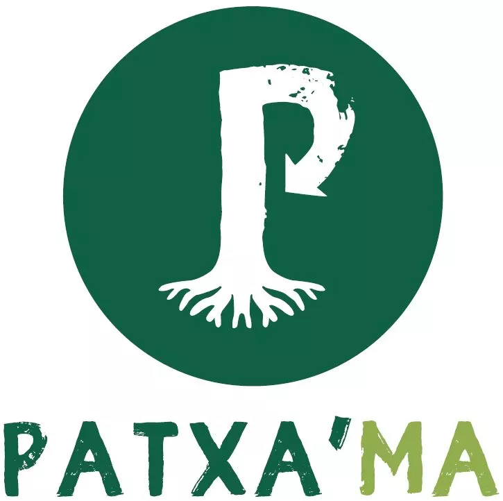 Patxa’ma pour la déconstruction et le réemploi des matériaux